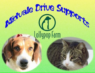 Midvale Drive Supports Lollypop Farm